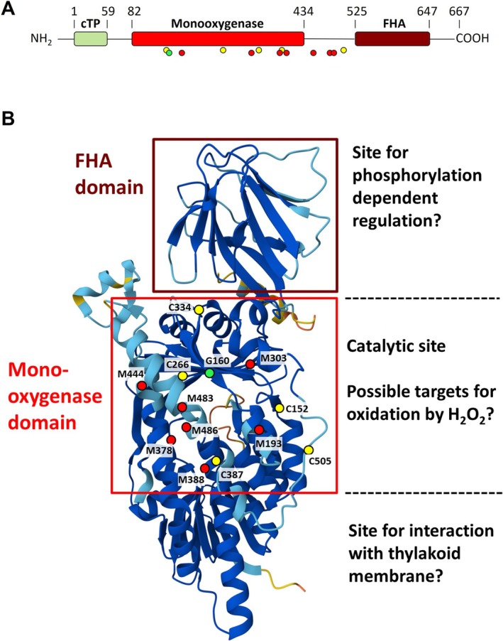 FIGURE 3