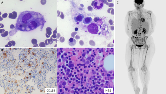 FIGURE 1