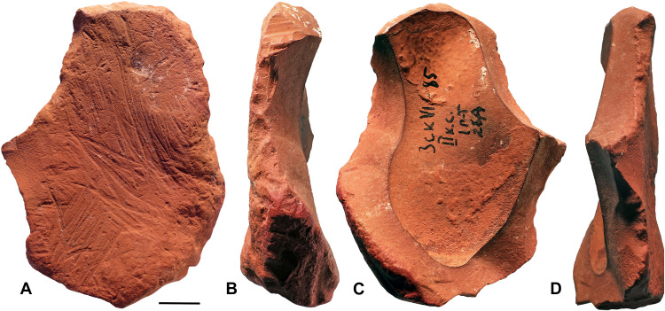 Fig. 3