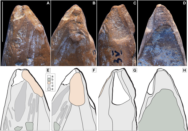 Fig. 5