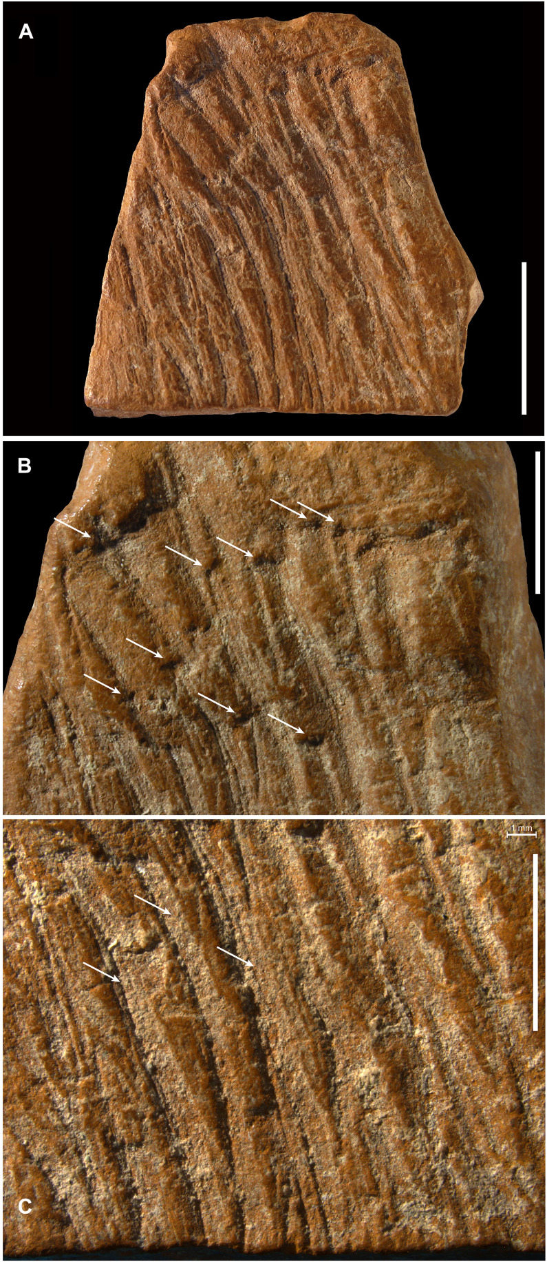 Fig. 6