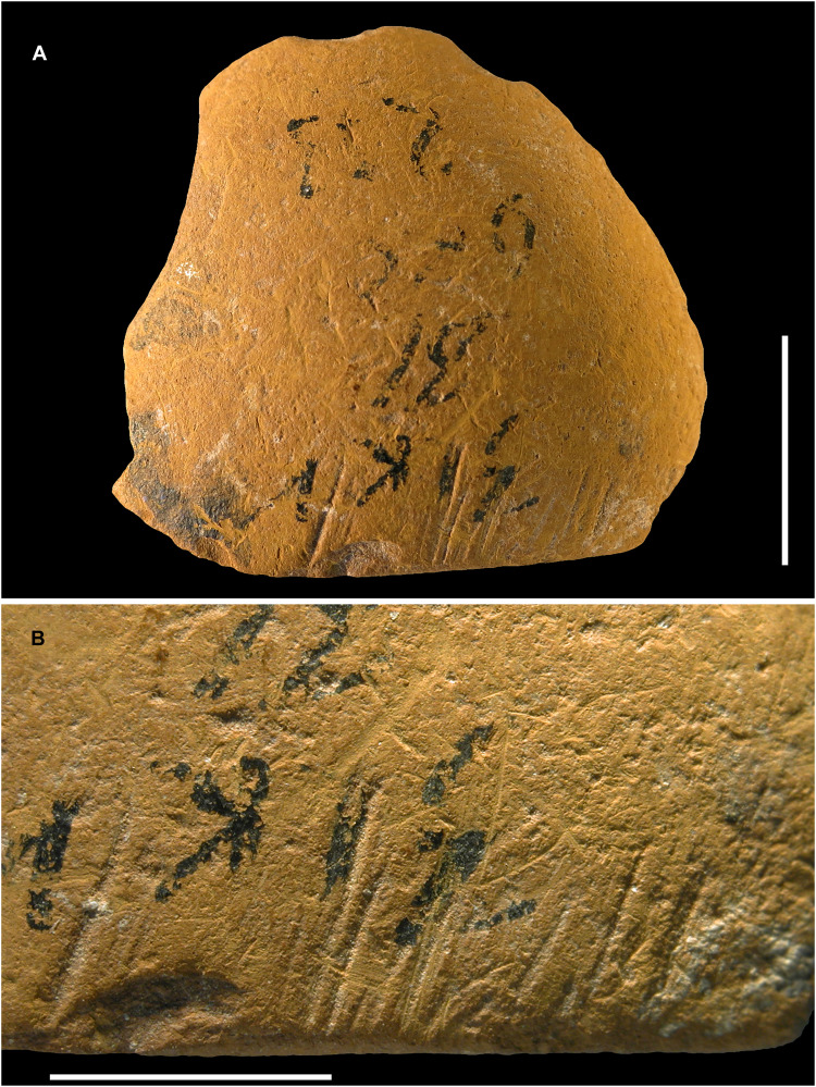 Fig. 8