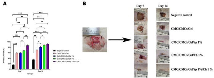 Figure 12