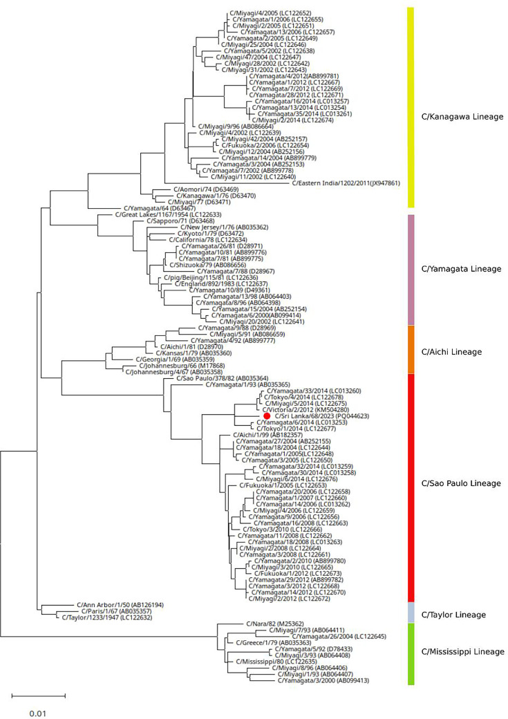 Fig. 1