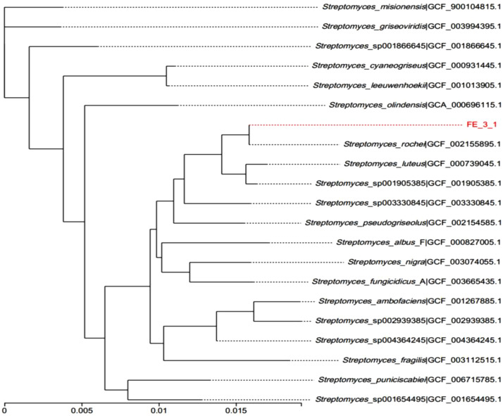 Fig 2