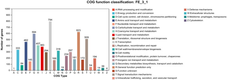 Fig 6