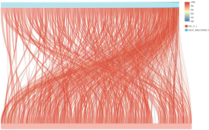 Fig 10