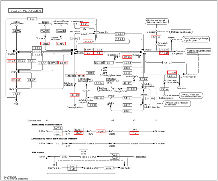 Fig 13