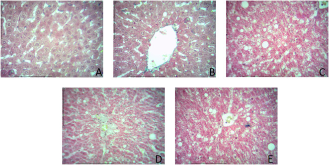 Fig 11