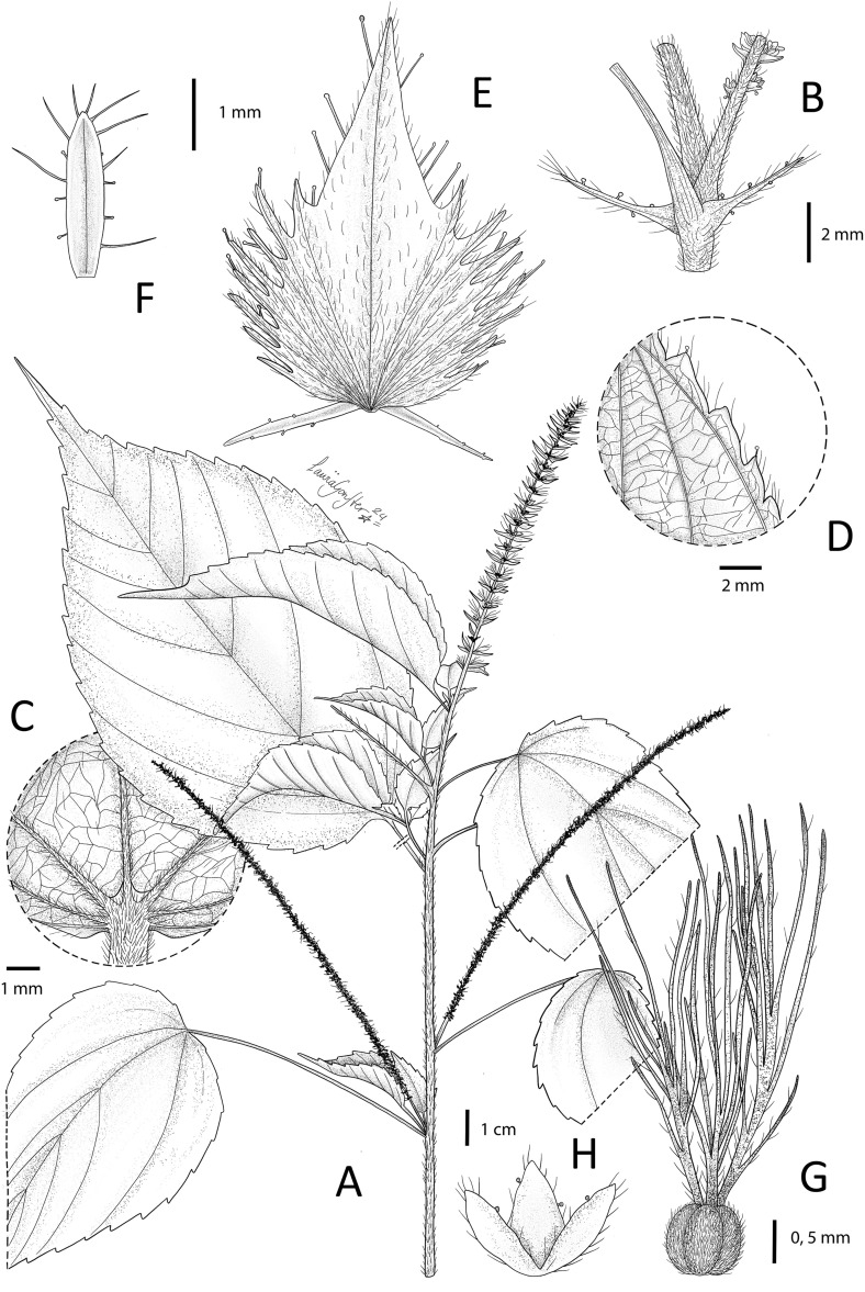Fig 4