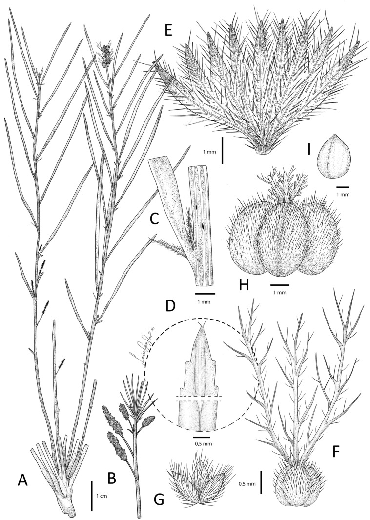 Fig 5