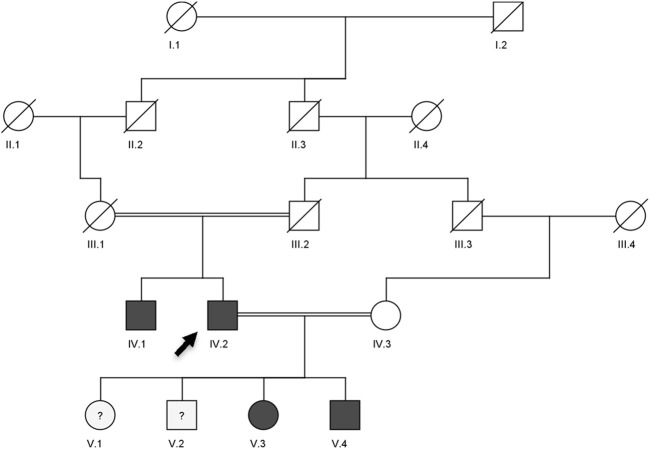 FIGURE 2
