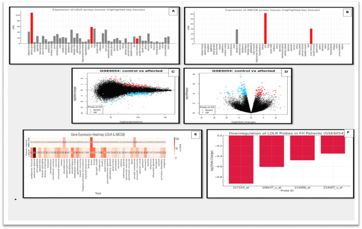 FIGURE 6