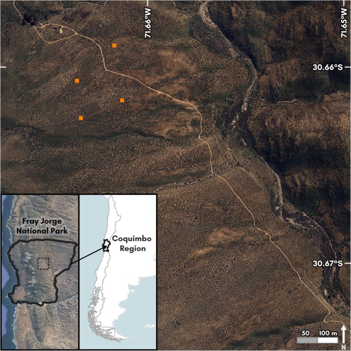 FIGURE 2