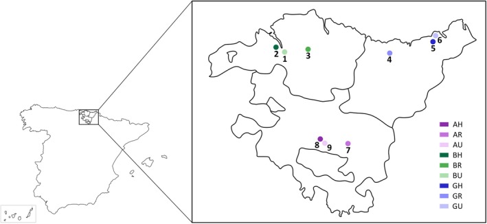 FIGURE 1