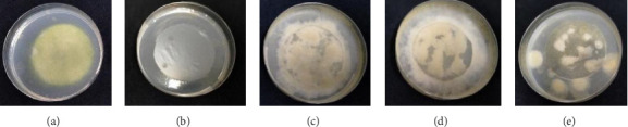 Figure 10