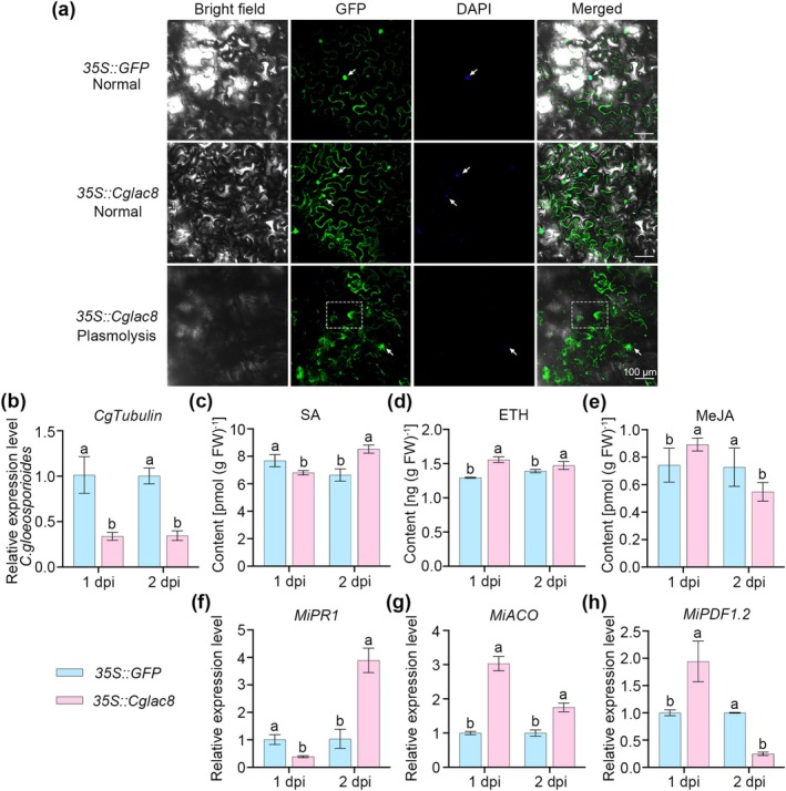 FIGURE 2