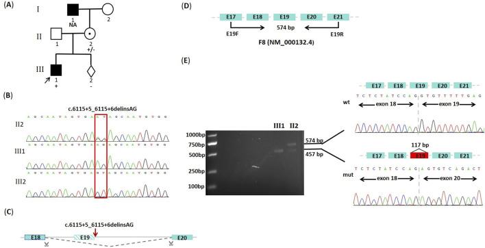 FIGURE 1