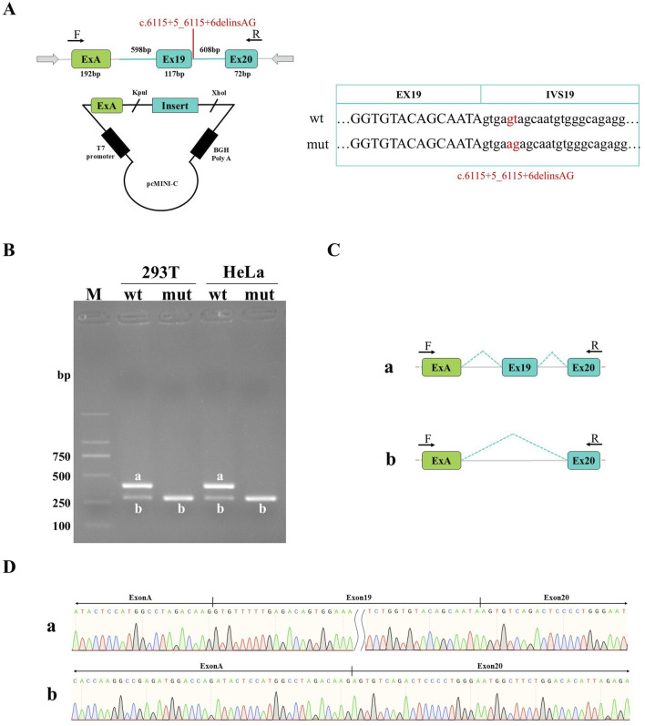 FIGURE 3
