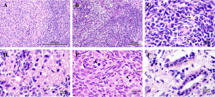 Figure 2