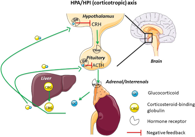 Figure 1