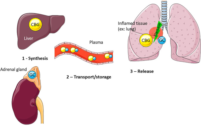Figure 2