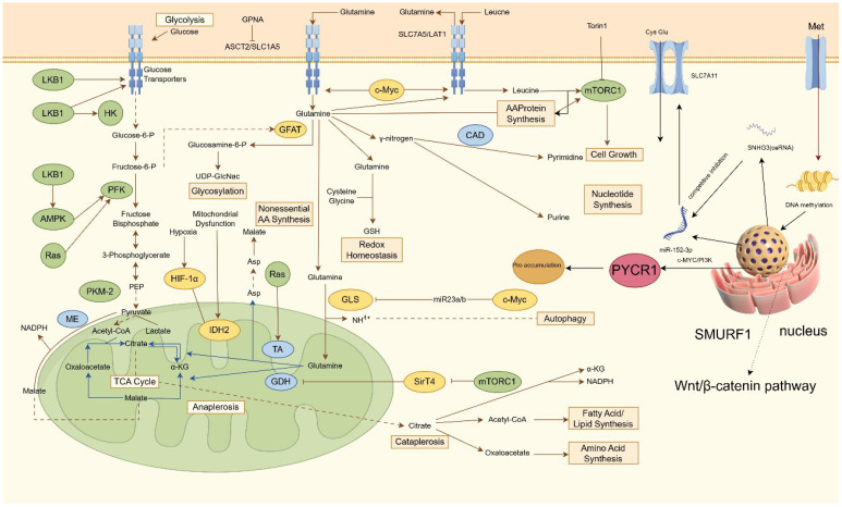 Figure 1