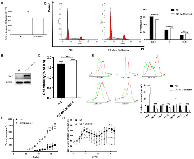 Figure 3