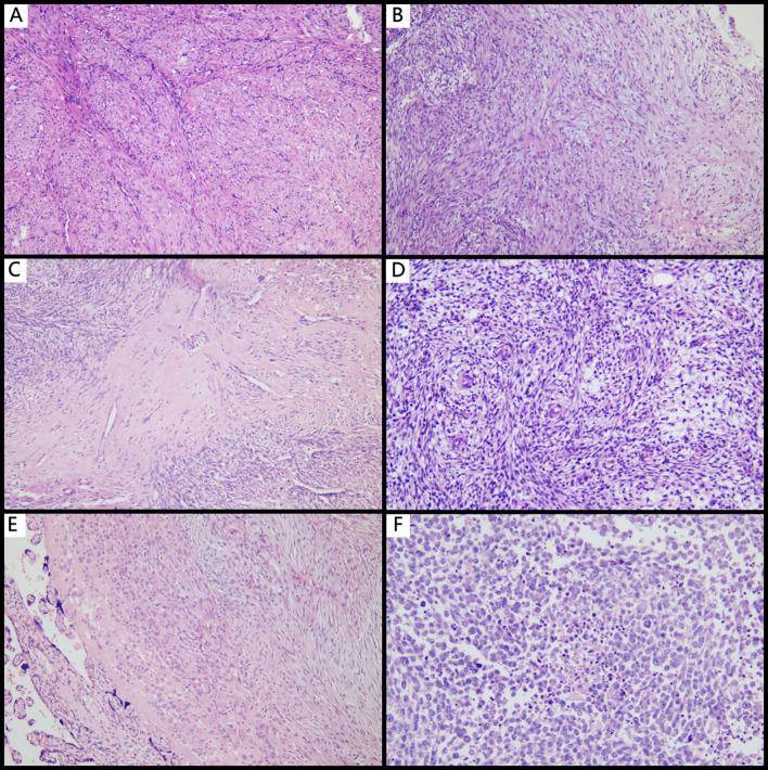 Figure 1
