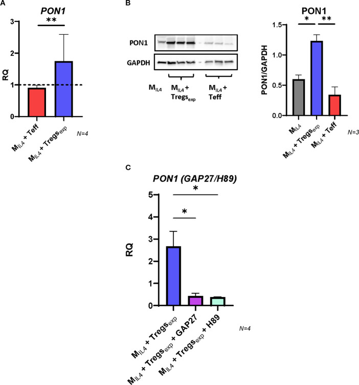 Figure 6