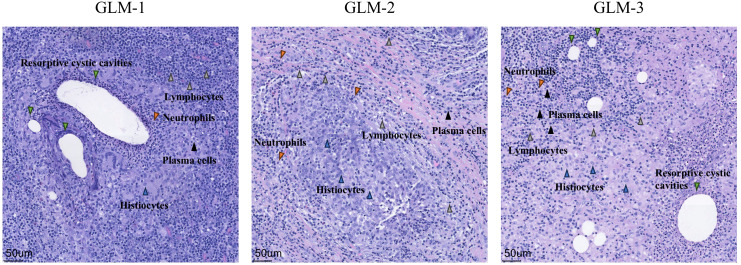 Figure 2
