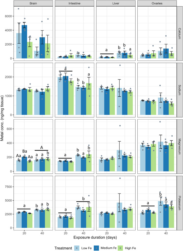 FIGURE 3