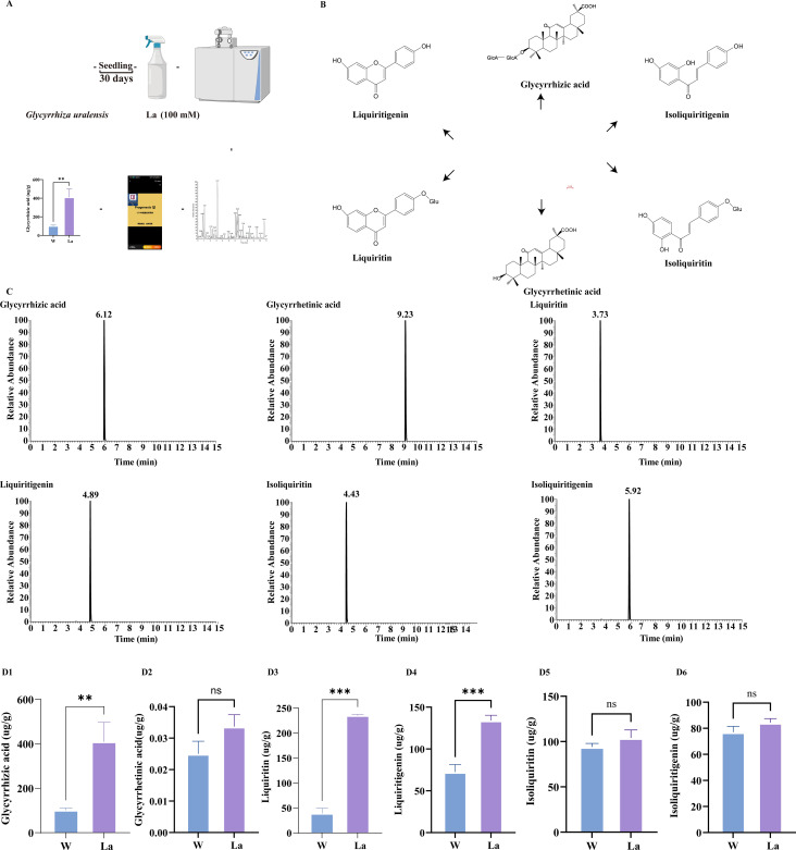 Figure 2