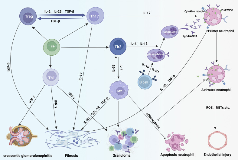 Figure 4