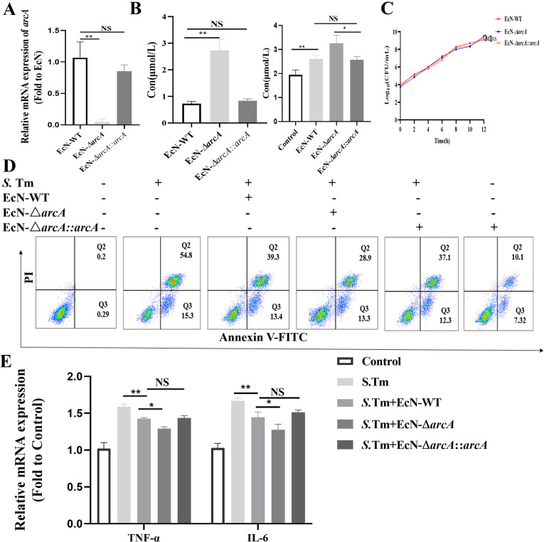 Figure 3