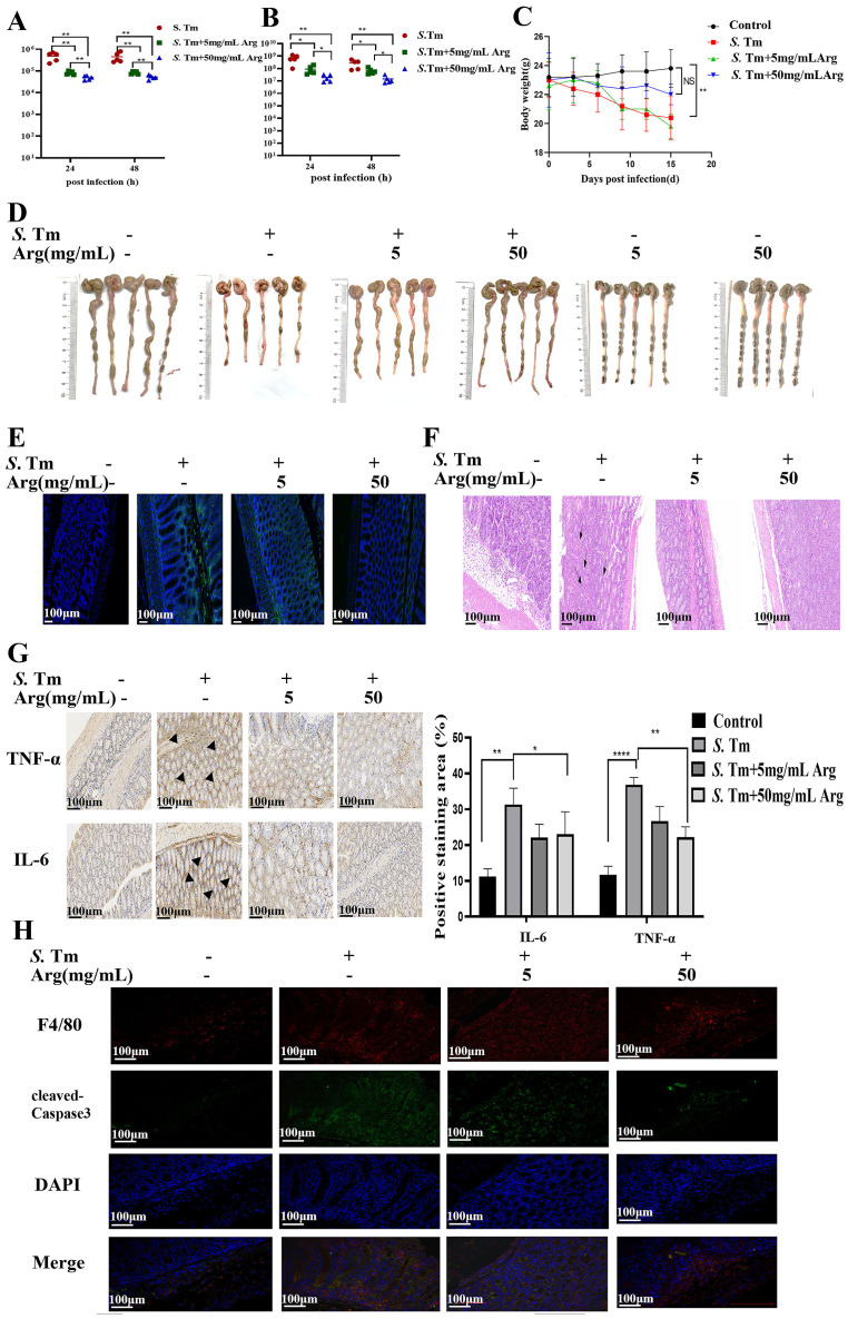 Figure 6