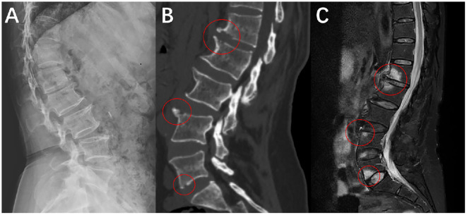 Figure 1