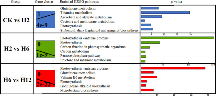 Figure 6