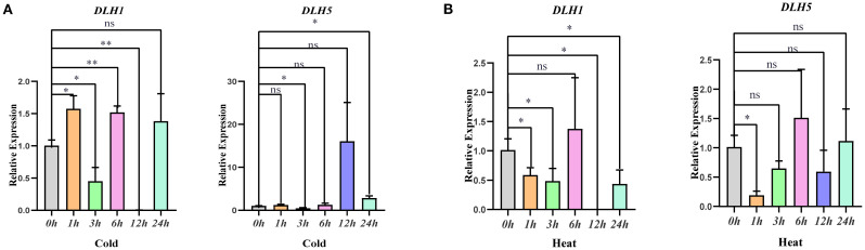 Figure 4