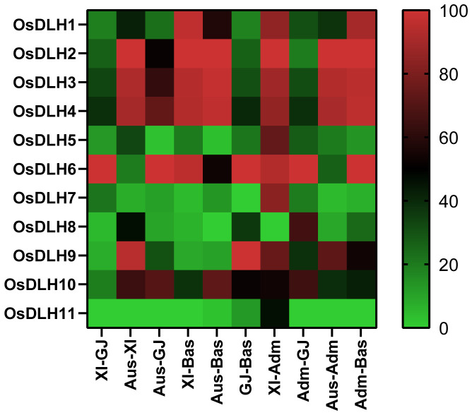 Figure 5