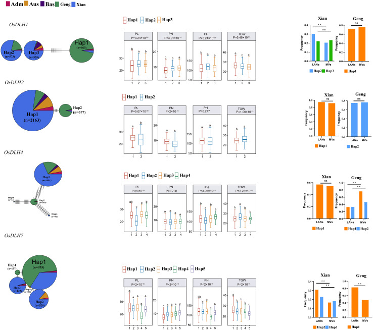 Figure 6