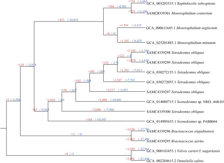 Figure 3
