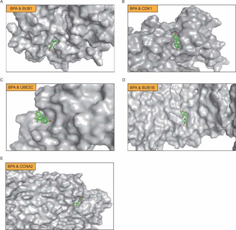 Figure 5