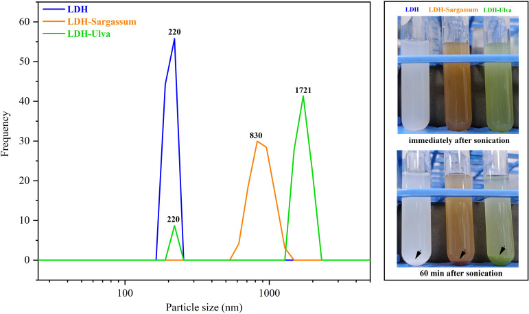Figure 4