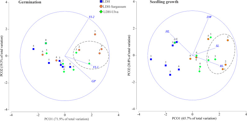 Figure 6