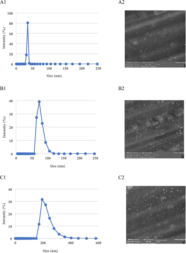 FIGURE 1