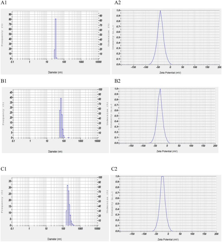 FIGURE 2