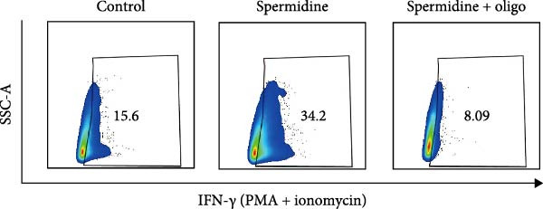 Figure 15