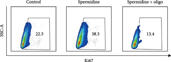 Figure 17
