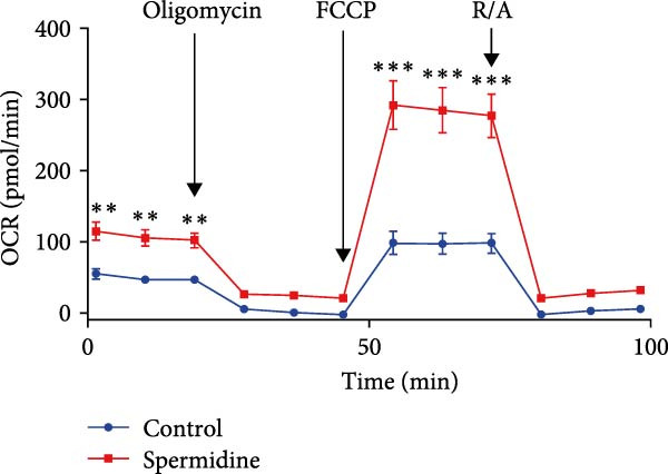 Figure 19